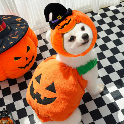 1 Set Halloween Cat Costumes Pumpkin Cute Cat Hat Scarf Clothes for Small Dogs Pet Cosplay Gift