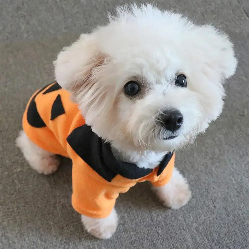 Dog Costume Pumpkin | Cute Pet Cosplay Dress | Puppy Hoodie Pet Coat Halloween Clothes Comfortable Breathable Soft Animal Jumpsu