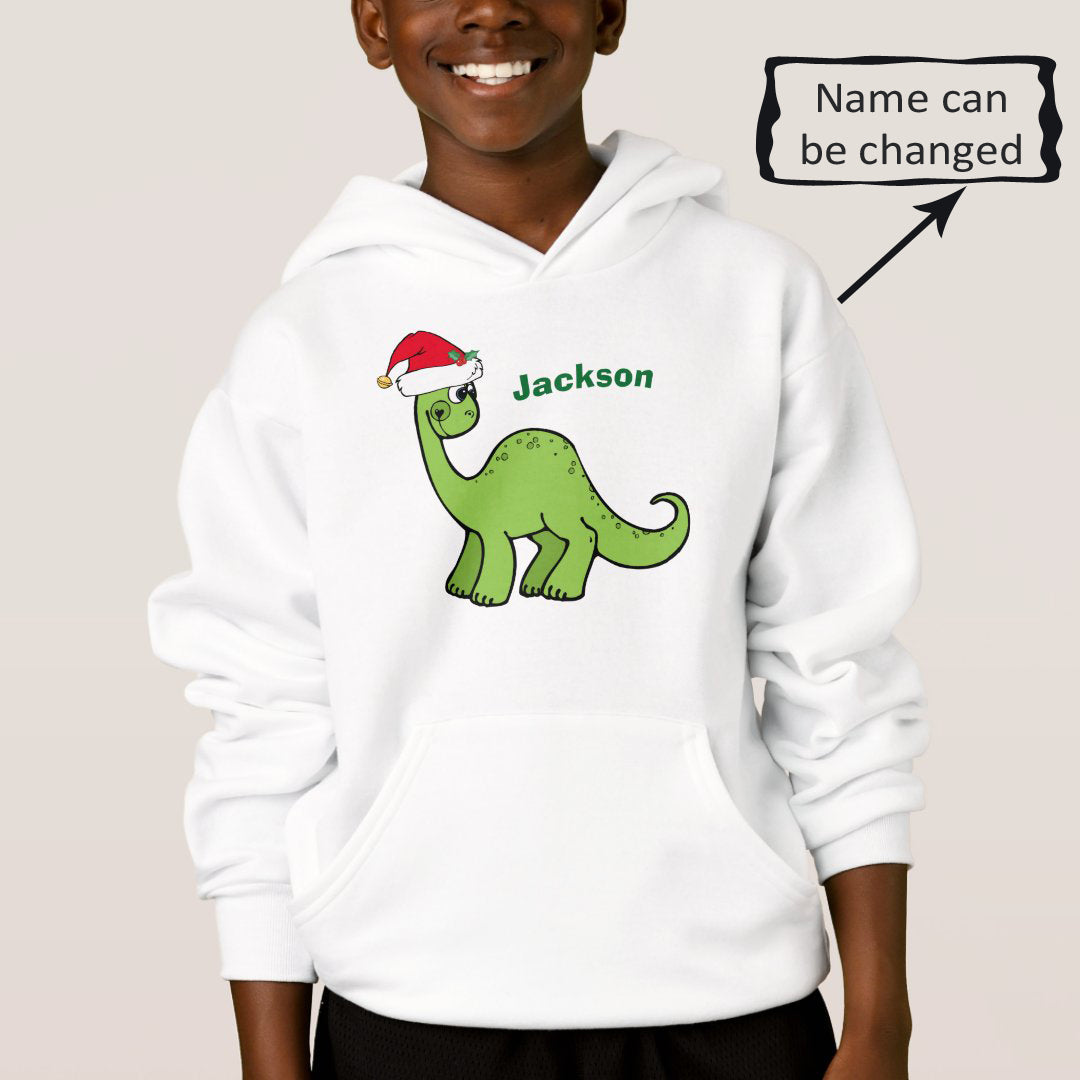 Custom Name Hoodie Christmas Gift Dinosaur Youth Sweatshirt img 1