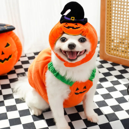 1 Set Halloween Cat Costumes Pumpkin Cute Cat Hat Scarf Clothes for Small Dogs Pet Cosplay Gift