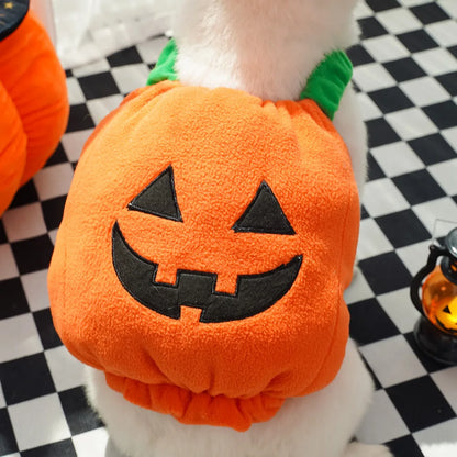 1 Set Halloween Cat Costumes Pumpkin Cute Cat Hat Scarf Clothes for Small Dogs Pet Cosplay Gift