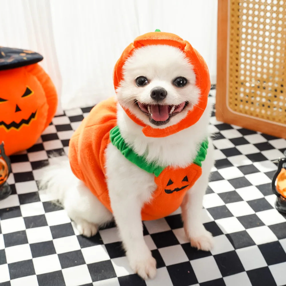 1 Set Halloween Cat Costumes Pumpkin Cute Cat Hat Scarf Clothes for Small Dogs Pet Cosplay Gift