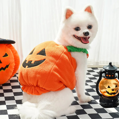 1 Set Halloween Cat Costumes Pumpkin Cute Cat Hat Scarf Clothes for Small Dogs Pet Cosplay Gift